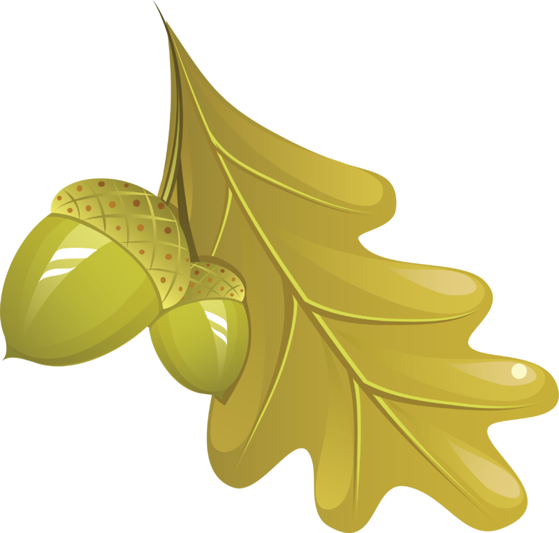 autumn_leaves_PNG3597.png