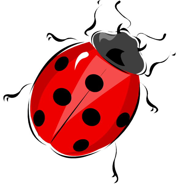 COCCINELLE 3