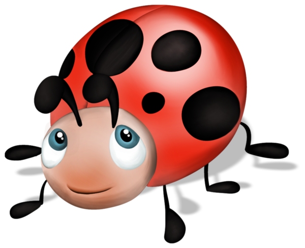 COCCINELLE 2