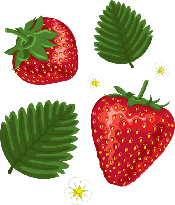 LES FRAISES