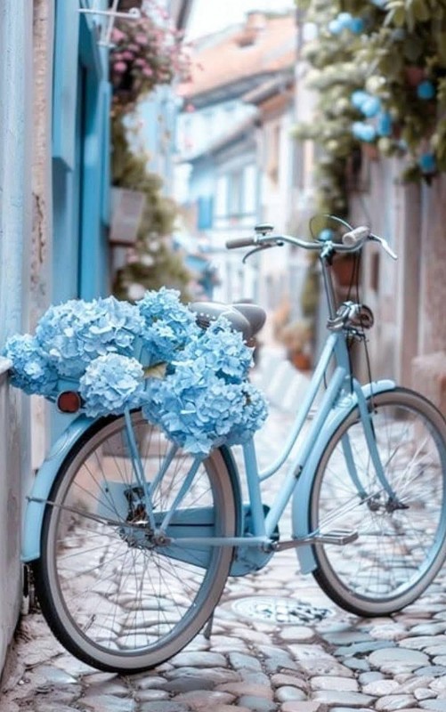 BICYCLETTE OU VELO 2