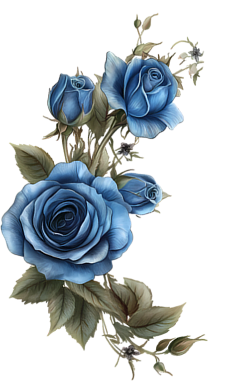 ROSE 4