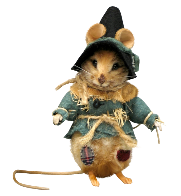 RAT 2