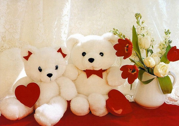 LES OURS EN PELUCHE