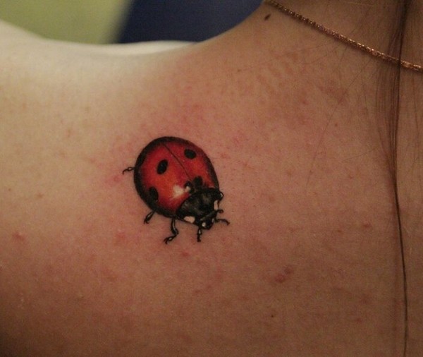 COCCINELLE 3