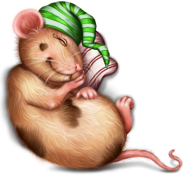 SOURIS RAT HAMSTER... 2