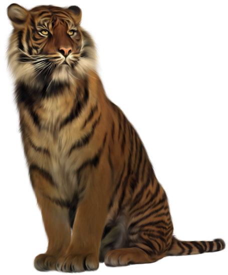 TIGRE