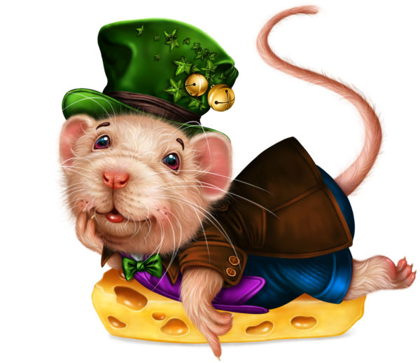 SOURIS RAT HAMSTER... 2