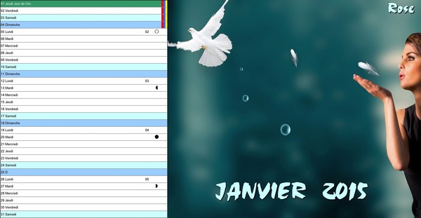 CALENDRIER JANVIER 2O15