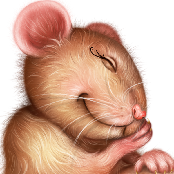 SOURIS RAT HAMSTER... 2