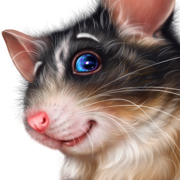 SOURIS RAT HAMSTER... 2