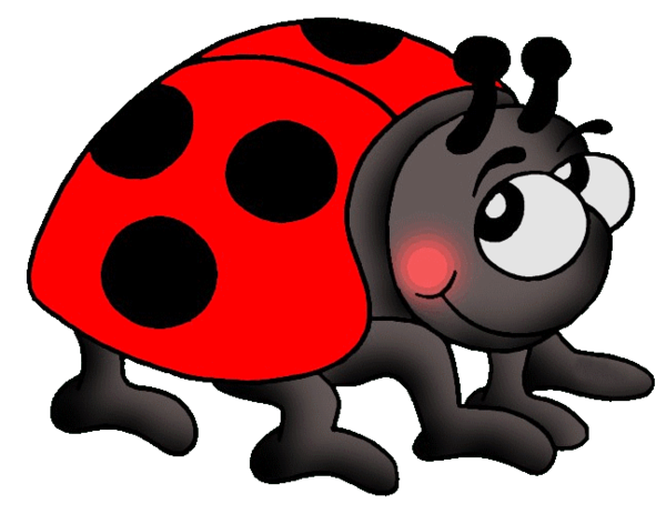 COCCINELLE