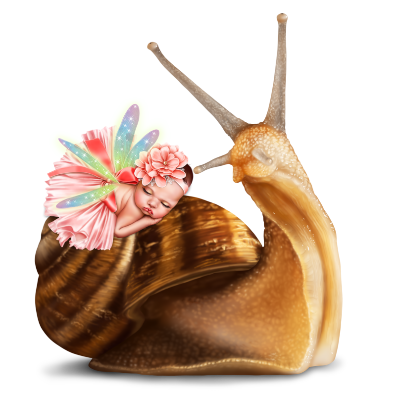 baby_fairy_and_snail_14-md.png