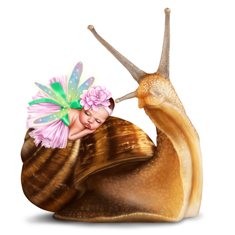 baby_fairy_and_snail_15.png