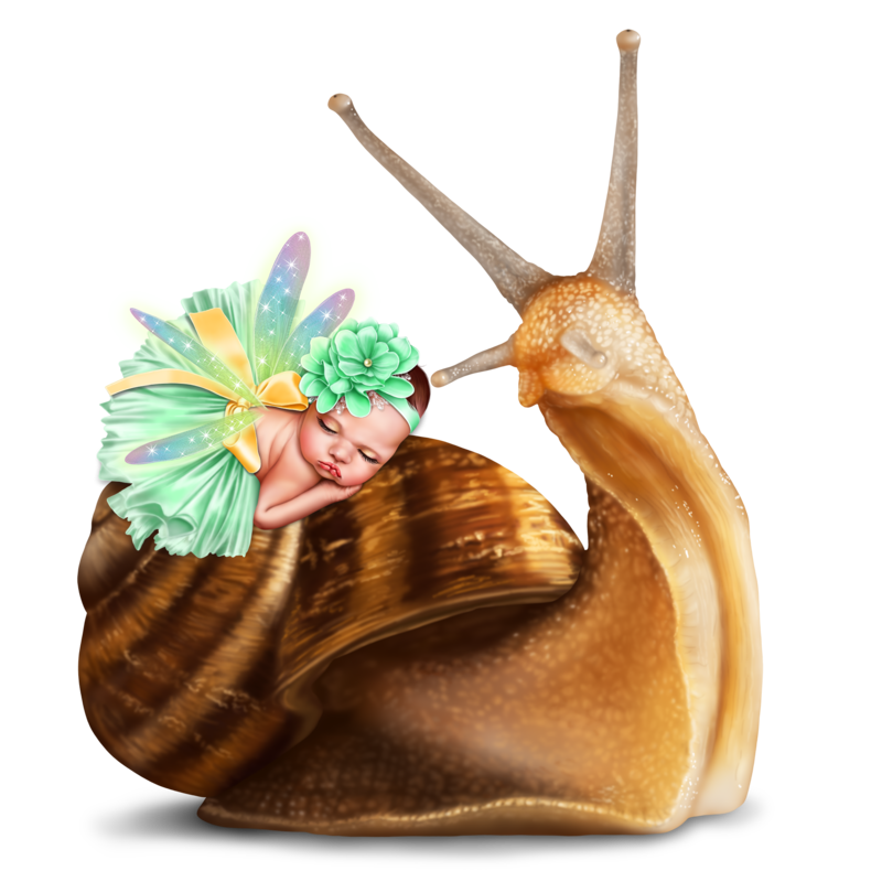 baby_fairy_and_snail_17.png