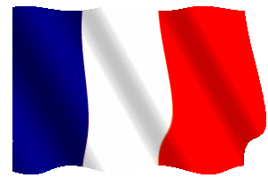 bandiera_animata_flag_francia.gif
