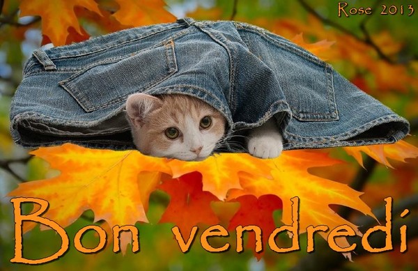 BON VENDREDI