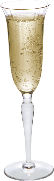 TUBE CHAMPAGNE FLUTE...