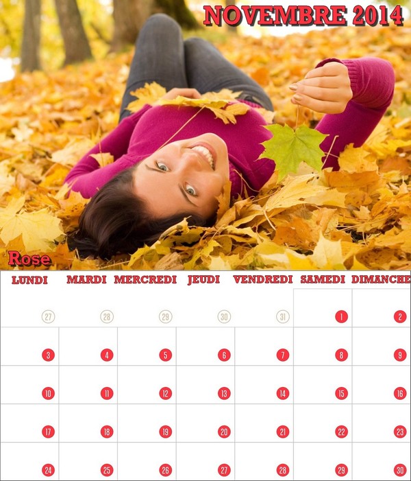 CALENDRIER NOVEMBRE 2014