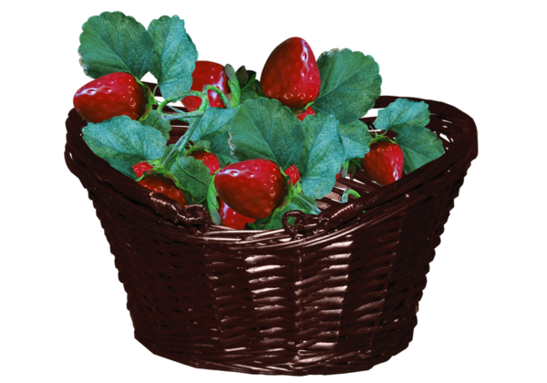 LES FRAISES