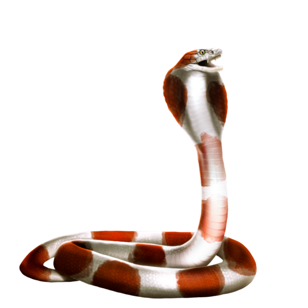 SERPENT