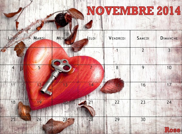 CALENDRIER NOVEMBRE 2014