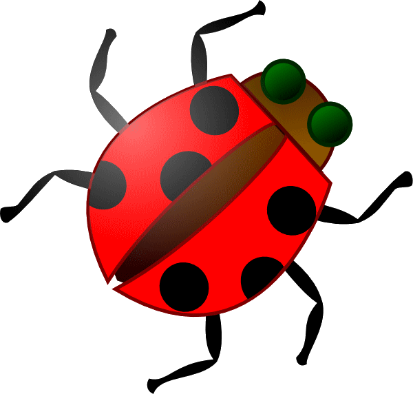 COCCINELLE