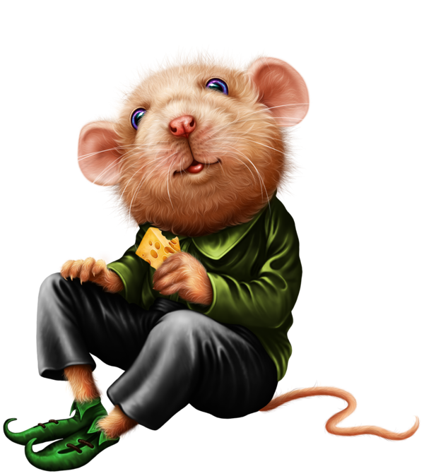 SOURIS RAT HAMSTER... 2