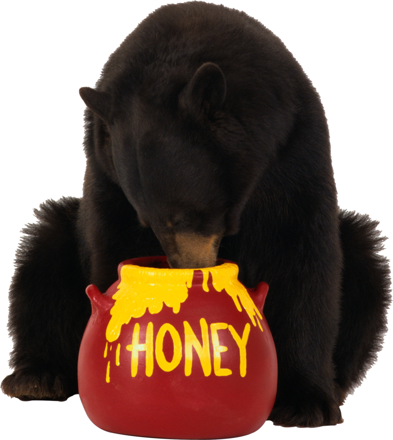 bear_PNG1183.png