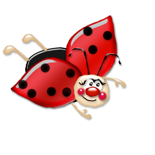 COCCINELLE 2