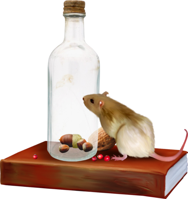 RAT 2