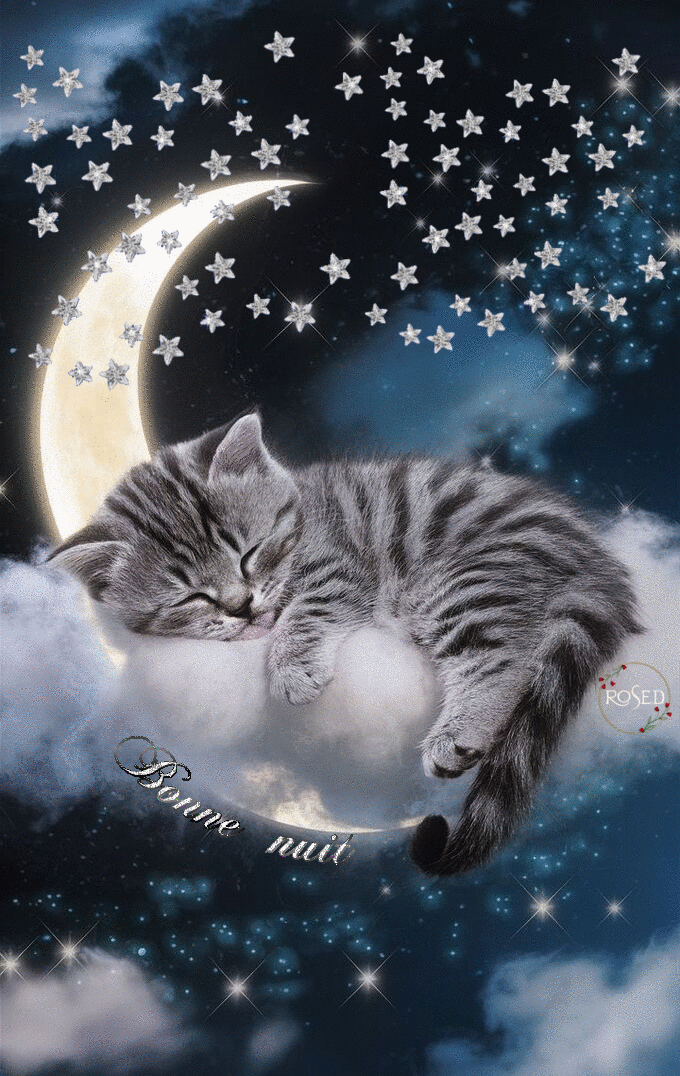 bonne_nuit_r_1
