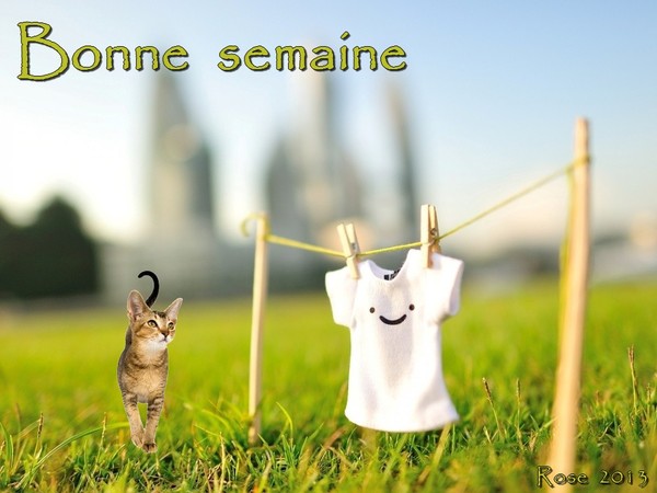 BONNE SEMAINE