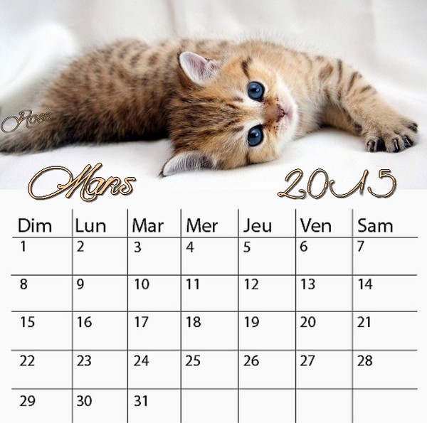 CALENDRIER MARS 2015