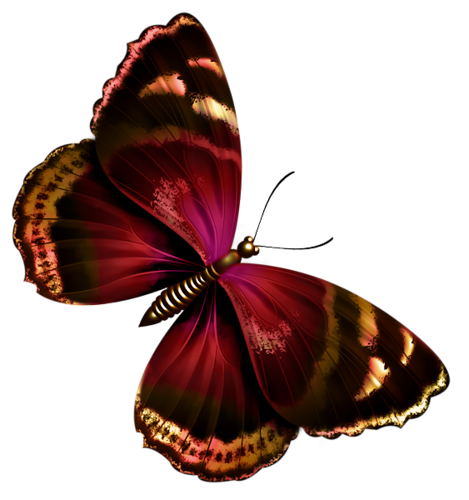 PAPILLON