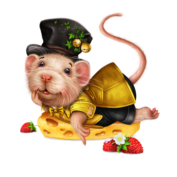 SOURIS RAT HAMSTER... 2