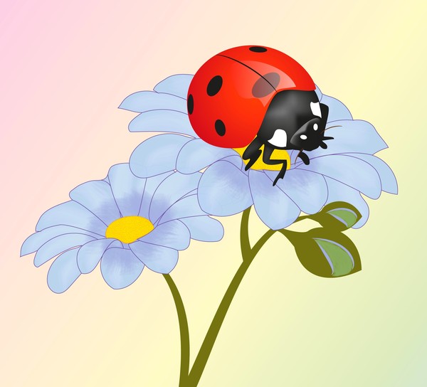 COCCINELLE