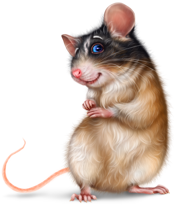 SOURIS RAT HAMSTER... 2