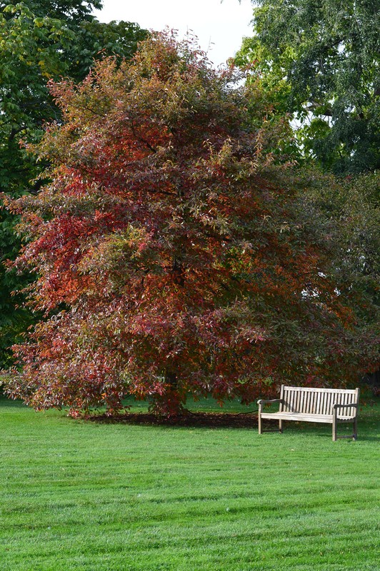 LE BANC