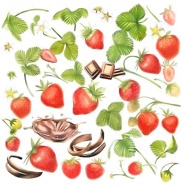 LES FRAISES 2