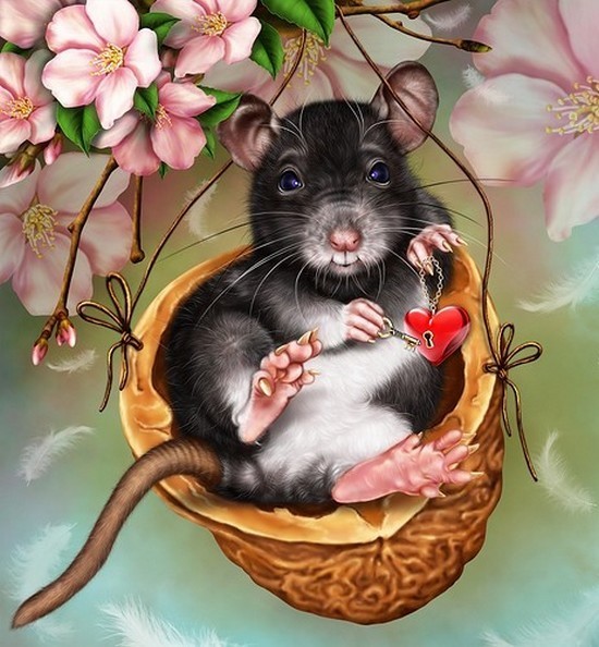 RAT SOURIS... 2