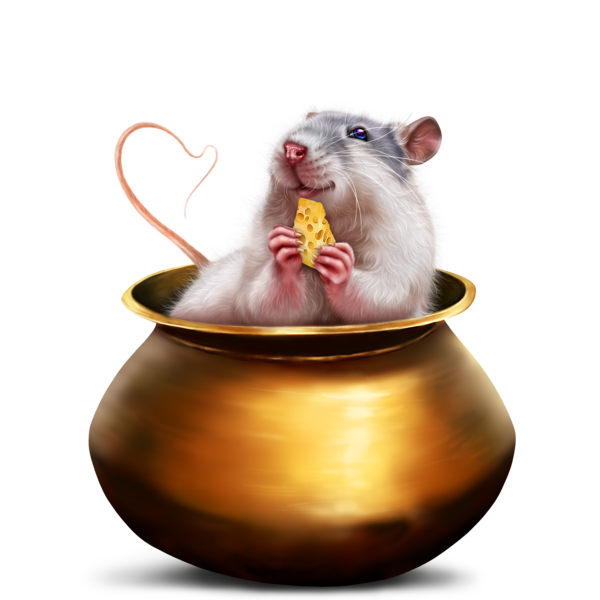 SOURIS RAT HAMSTER... 2