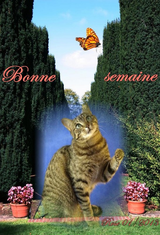 BONNE SEMAINE