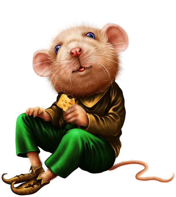 SOURIS RAT HAMSTER... 2