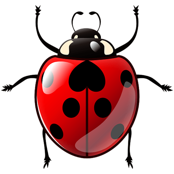 COCCINELLE 3