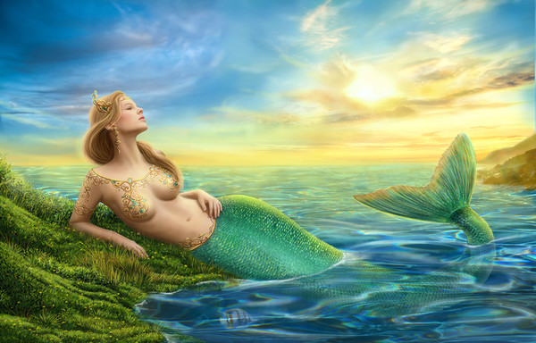 SIRENE 2