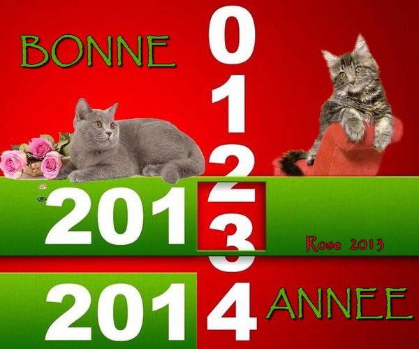 BONNE ANNEE 2014