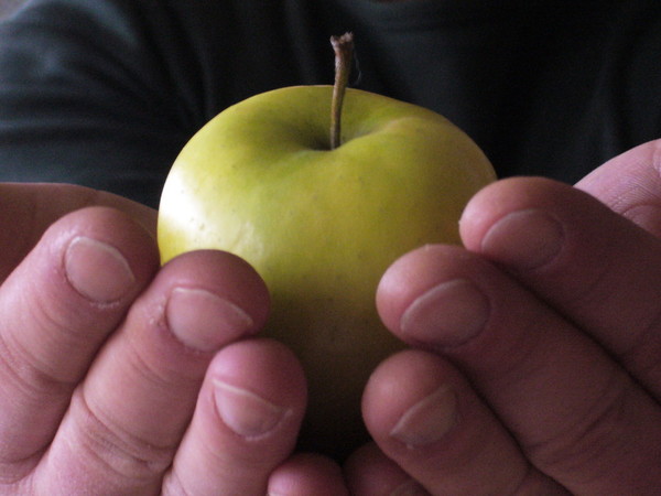 LA POMME