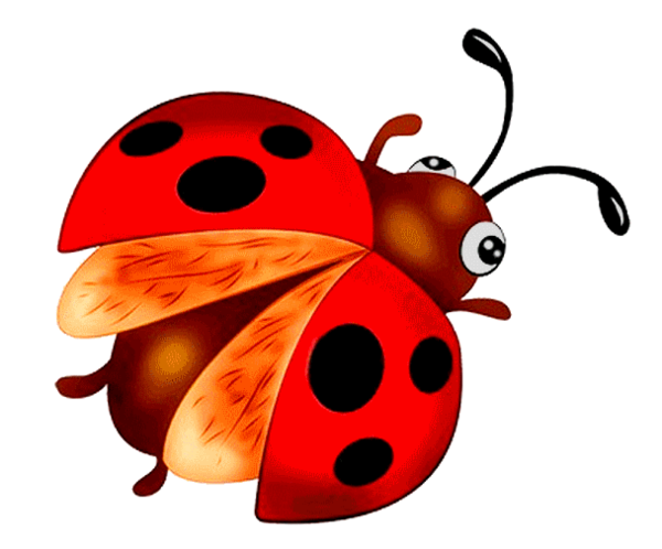 COCCINELLE