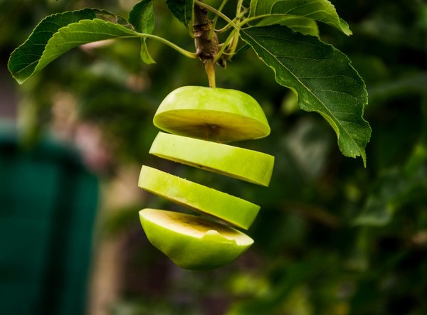 LA POMME